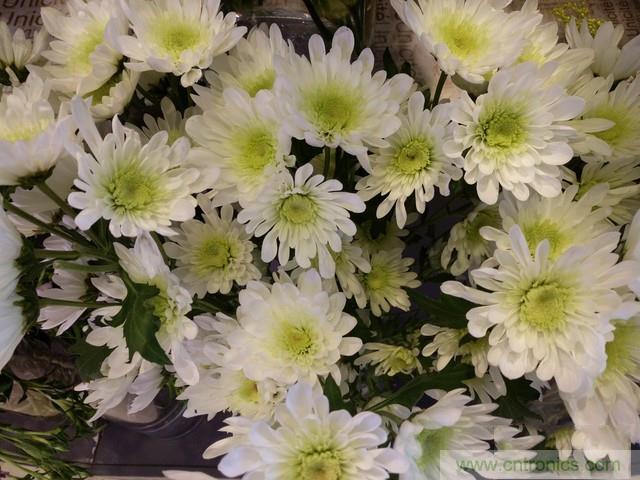 Hi-Fi革命！vivo X6 Plus深度評(píng)測(cè)：夠快才暢快