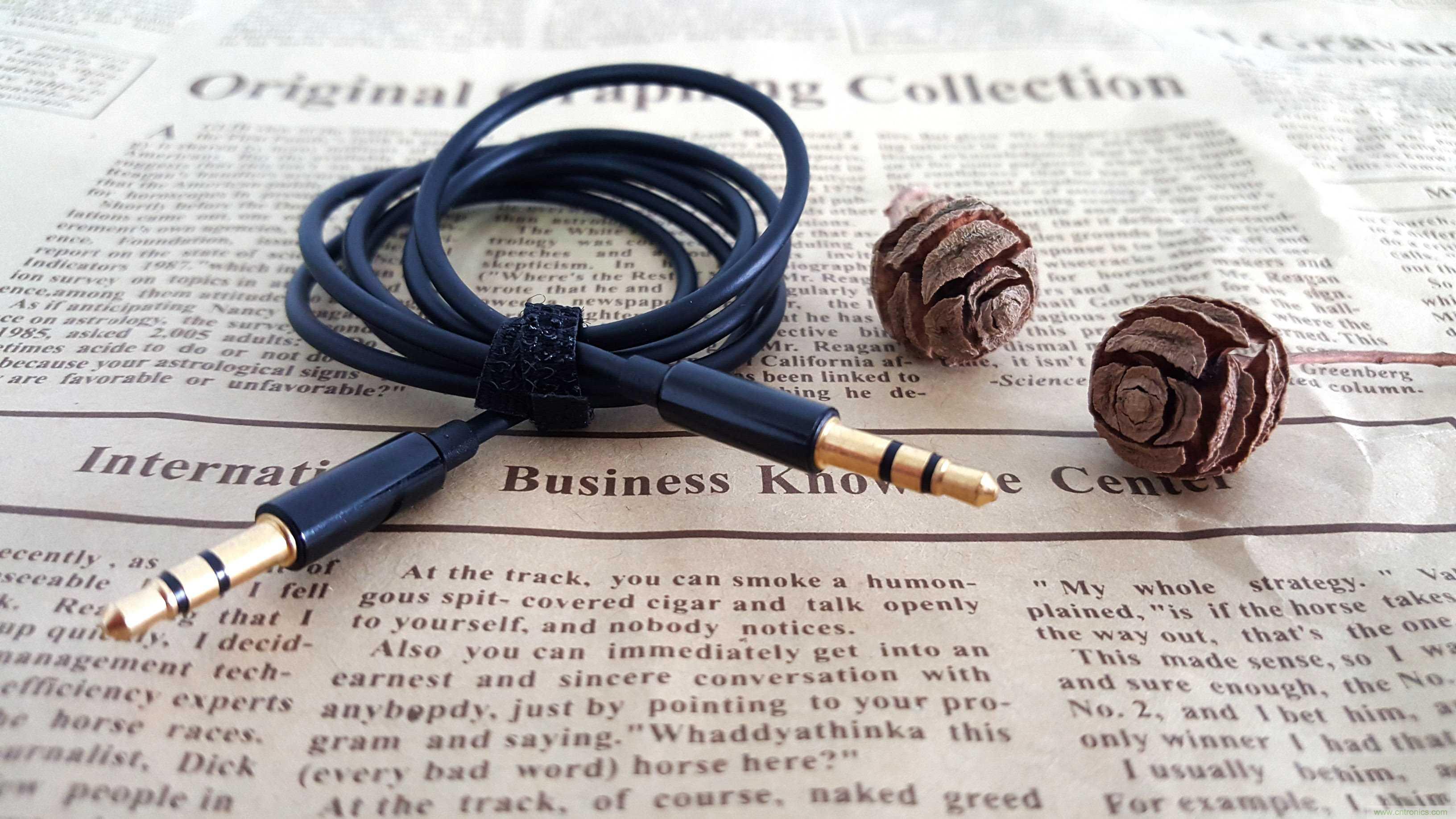 搞怪&ldquo;美人魚&rdquo;盡享靈克藍牙音箱的天籟之音！