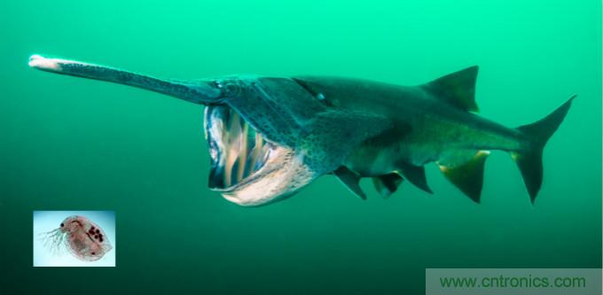 檢測(cè)不到信號(hào)，是加點(diǎn)噪聲？還是濾除噪聲？