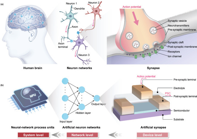 神經(jīng)形態(tài)計(jì)算器件和陣列測試解決方案