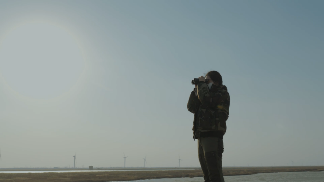 世界濕地日：?？低晹y手一個地球自然基金會，在上海守護(hù)這個重要“驛站”