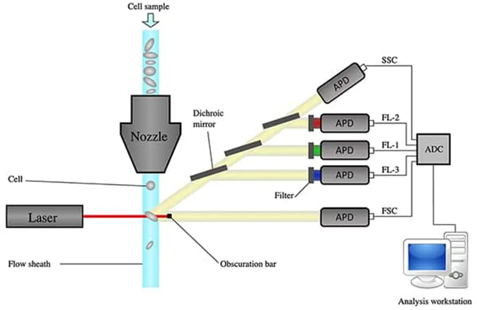 解決了！這個(gè)模塊解決了流式細(xì)胞儀設(shè)計(jì)的多個(gè)痛點(diǎn)！