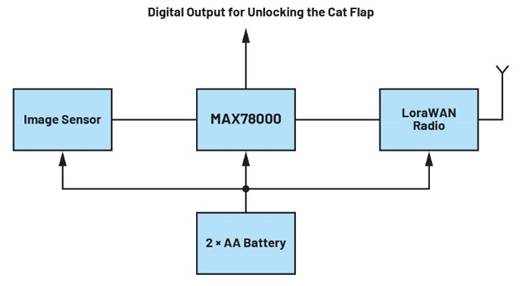 卷積神經(jīng)網(wǎng)絡(luò)的硬件轉(zhuǎn)換：什么是機(jī)器學(xué)習(xí)？——第三部分