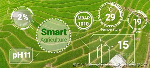 智慧農(nóng)業(yè)大有可為，“數(shù)字種地”更輕松